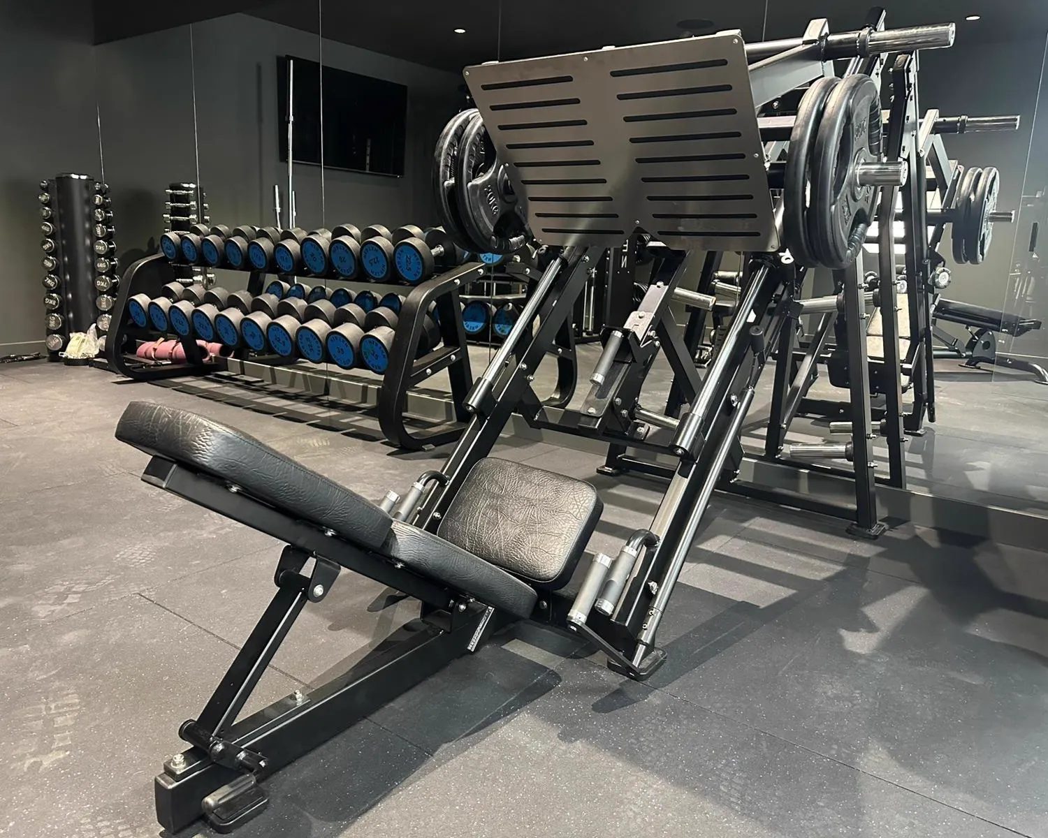 NXT GEN leg press and dumbbells at the warehouse