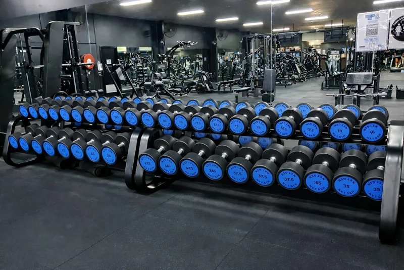 2 Tier Round DB Rack, Flooring, Storage & Racks, NXT GEN Fitness Equipment